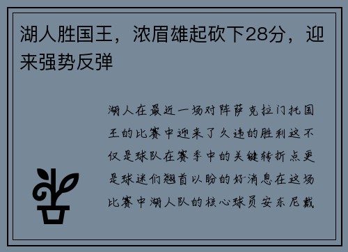 湖人胜国王，浓眉雄起砍下28分，迎来强势反弹