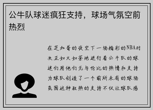 公牛队球迷疯狂支持，球场气氛空前热烈